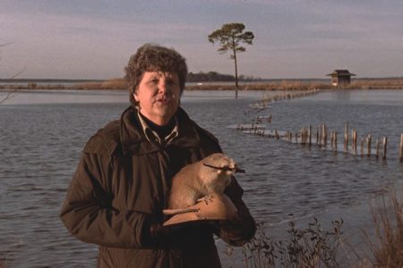 An Experienced AdWoman Takes On the Film Business