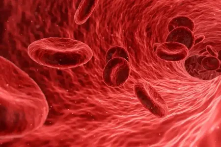 One from the Heart: Anatomy of an Animation Enhanced Video by George Avgerakis