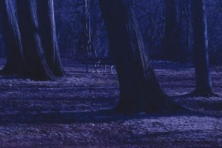 Day-for-Night: Here’s How It Works DFN Filter FX by Ira Tiffen