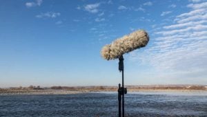Microphone Furry Windshield