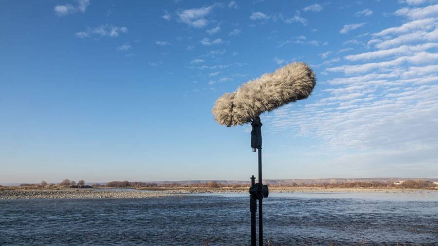 Microphone Furry Windshield