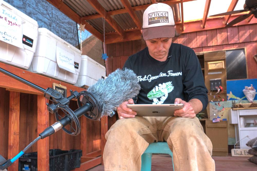 Azden SGM-250 shotgun microphone on boom stand.