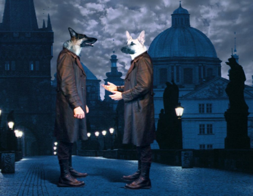 These dog headed detectives in Prague are trying to figure out who stole all the bone prizes before the big dog show starts in two hours (ticking clock). What types of combinations of conflict could they run into? Scent trail of thief gets ruined by rain, several dog gangs in the area fighting, one of these detective dogs stole the bones but is pretending to be looking and keeps blocking progress by hiding clues, lead innocent dog has trouble getting along with other dogs while questioning them, theme is loyalty and all the dogs struggle with love of bones verses loyalty to dog show. List scene conflict ideas then put them in the order they might occur to make a riveting film.