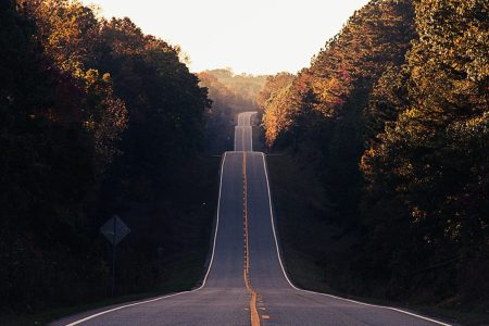 Development Phase: Our Roadmap