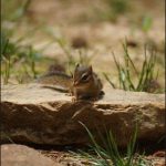 Photo taken by Mark Simon – Storyboard Artist