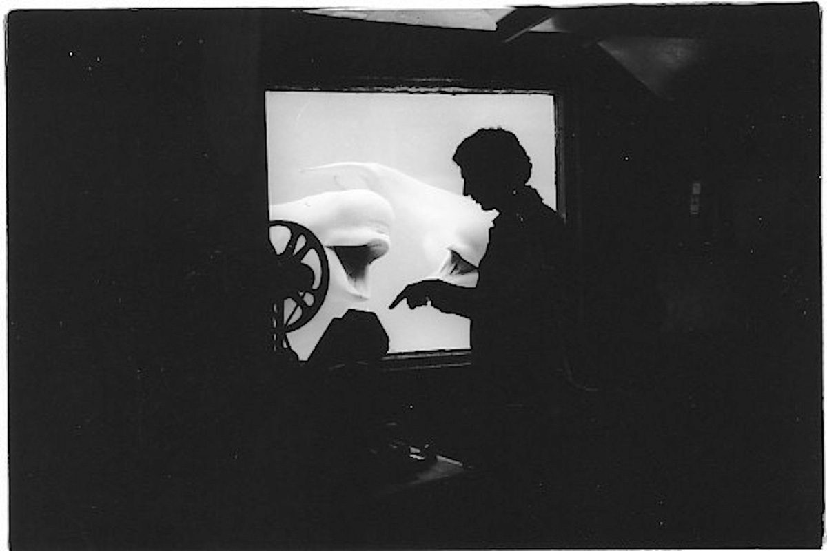 "Beluga Baby", NFB documentary, Tony Westman Director / Cinematographer. Editing with help from the whales.