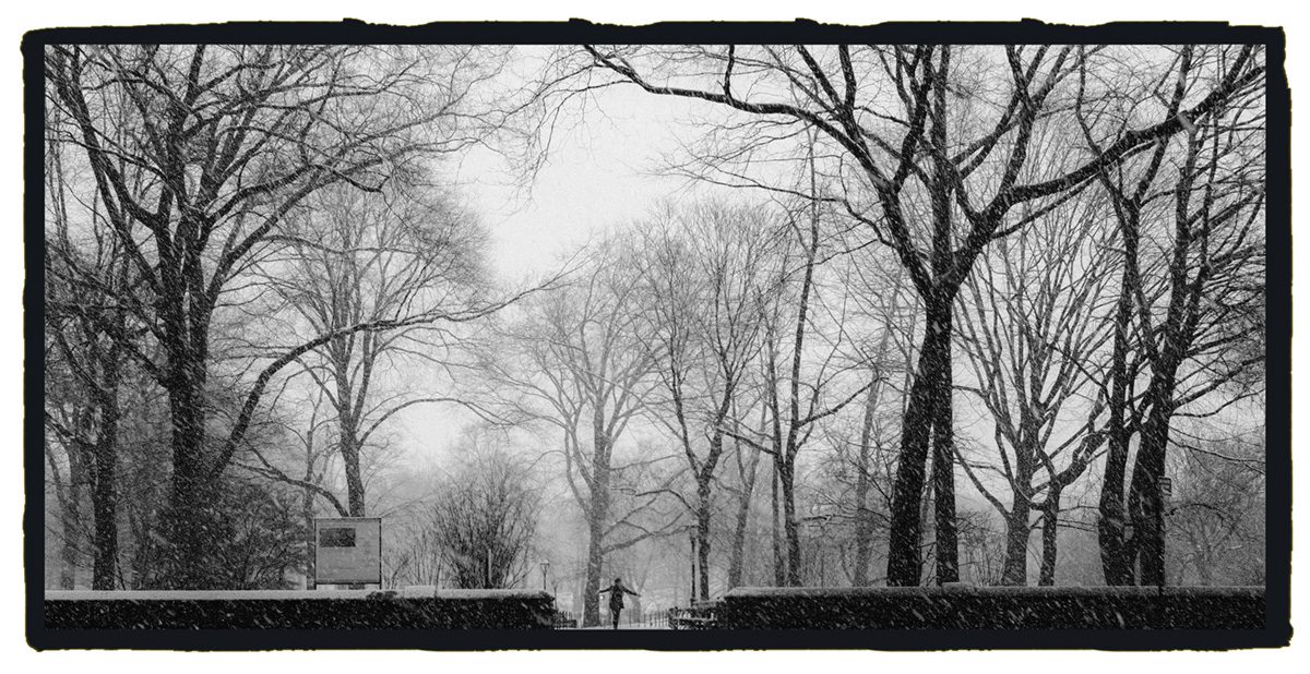 Winning Photo: "Dance Like No One is Watching," Central Park, New York City. Photo by Liz Guarracino.