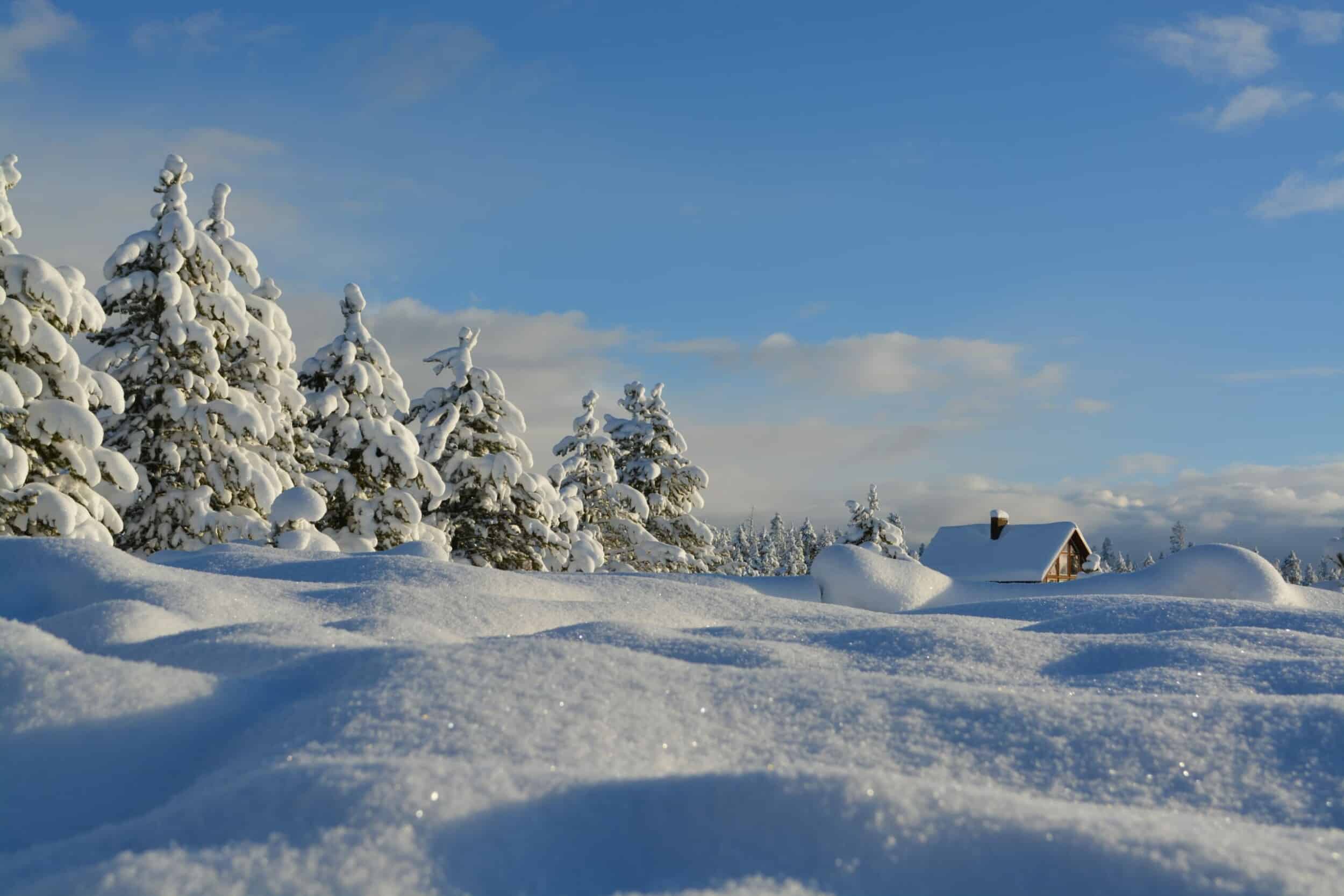 winter wonderland