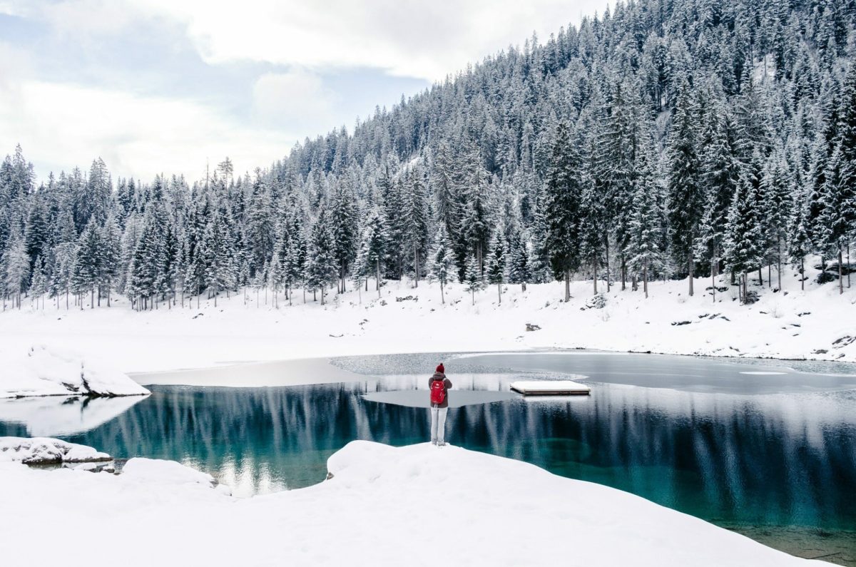 8 Easy Tips You Can Use Now! Apply Leading Lines in Your Photography