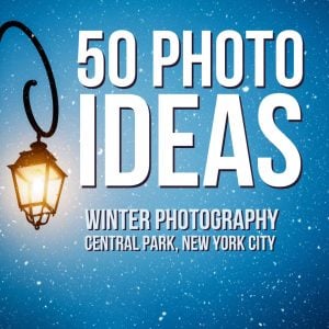 50 Photo Ideas - Winter Photography in New York City: 50 Unique Central Park Subjects