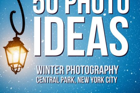 Winter Photography in New York City: 50 Unique Central Park Subjects