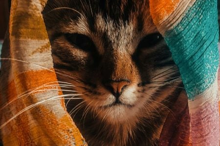 The Passion to Keep Pushing Forward: Awakening Your Filmmaking Project from Sleep Mode